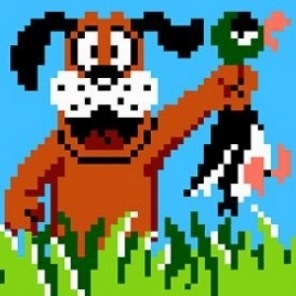 Игра Duck Hunt